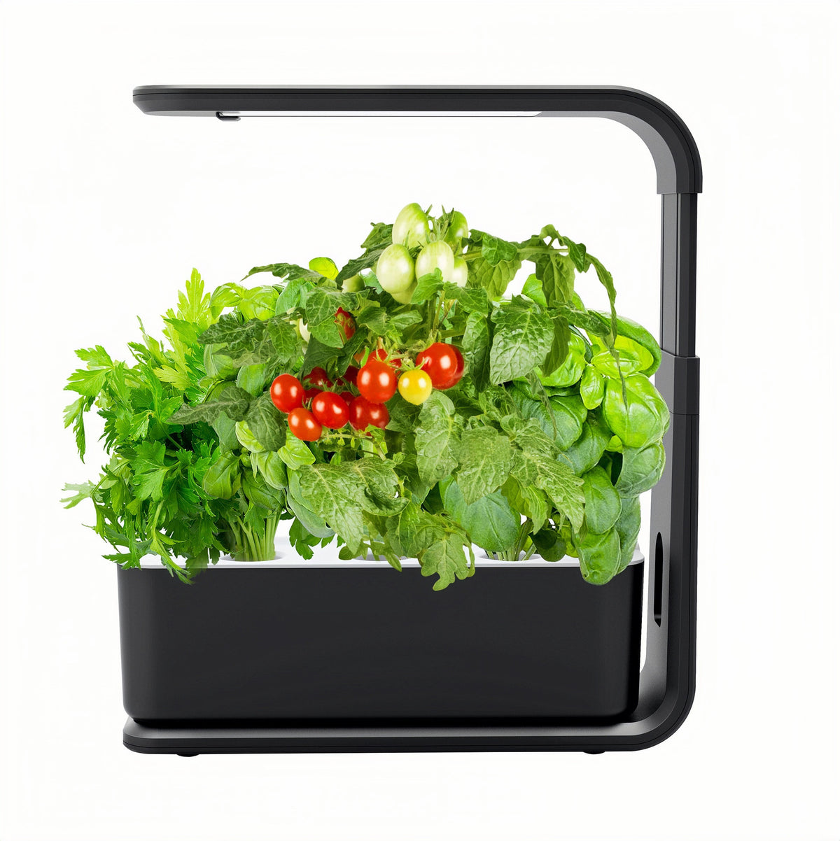Hydroponic Growing System