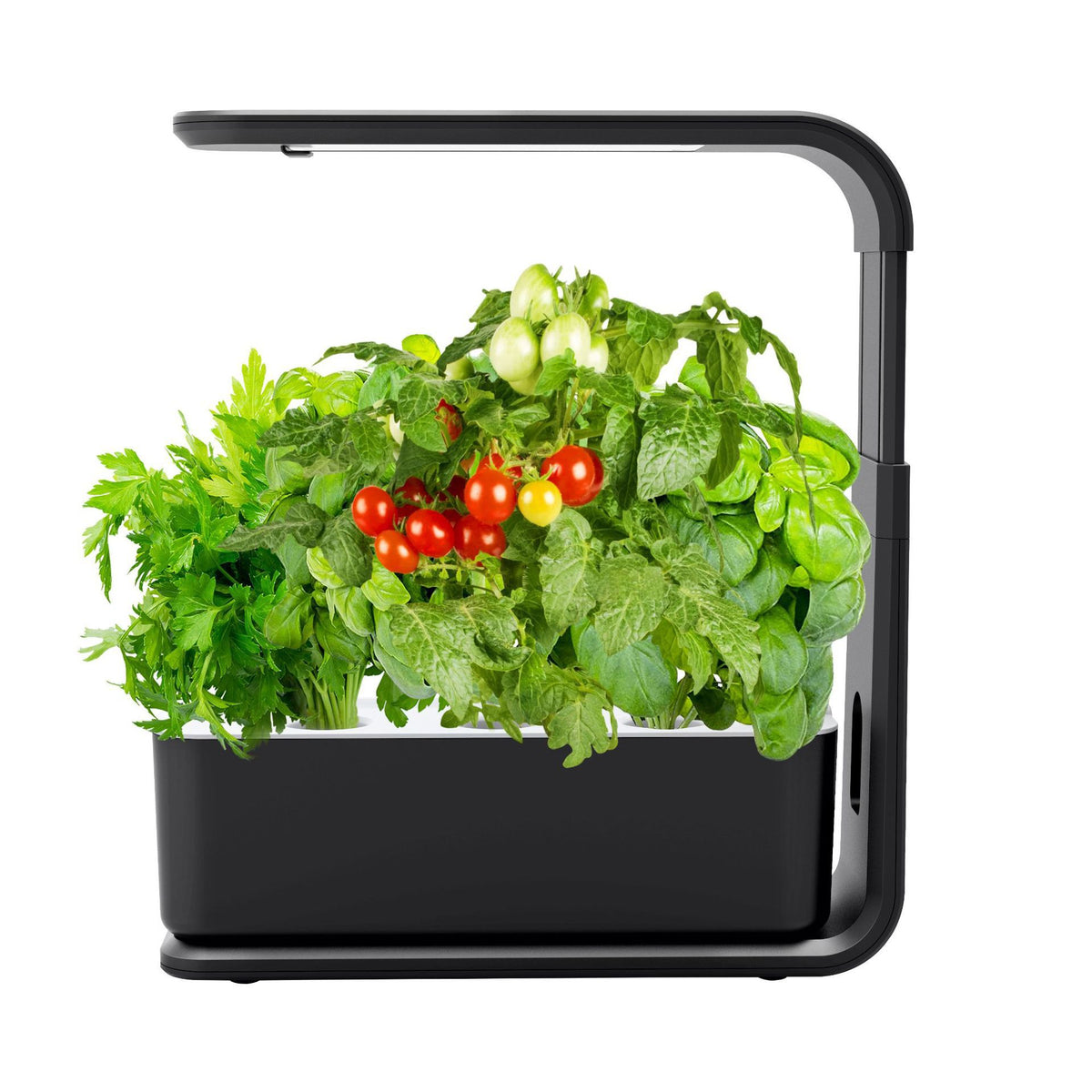 Hydroponic Growing System
