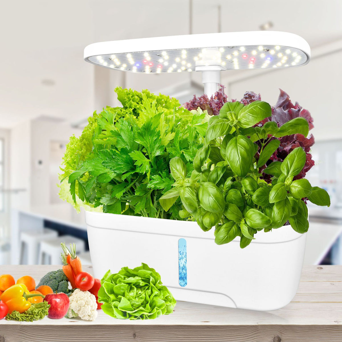 Hydroponic Growing System