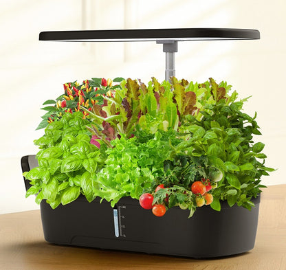 Hydroponic Growing System