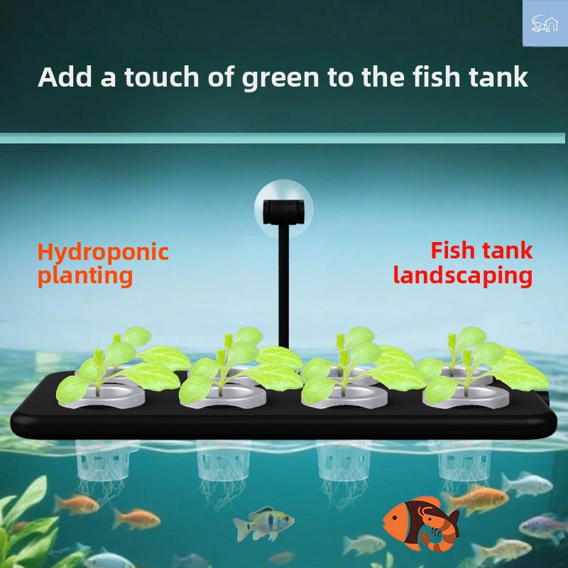 Hydroponic Planting Basket