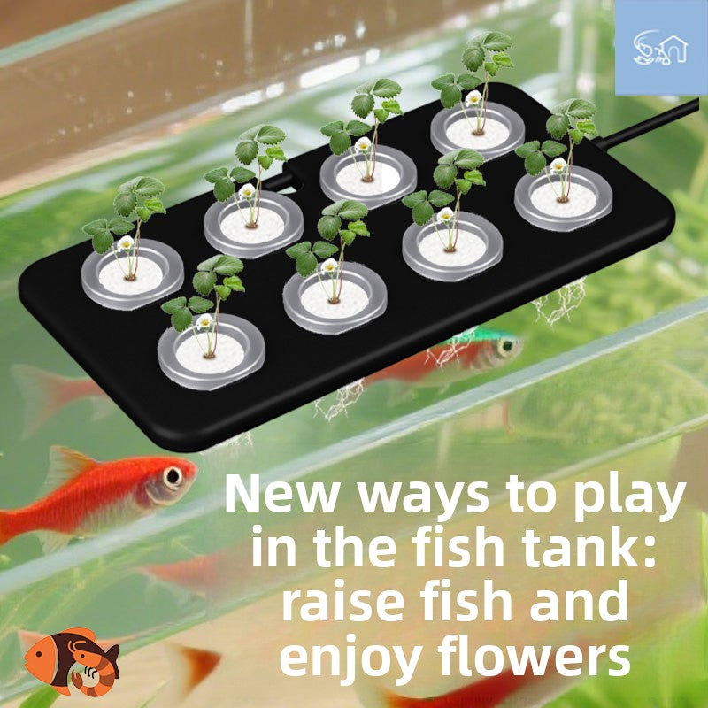 Hydroponic Planting Basket