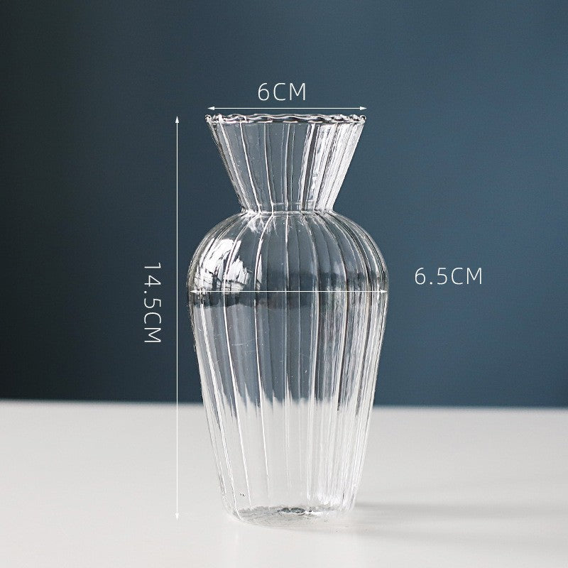 Hydroponic Vase