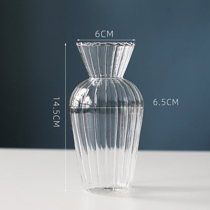 Hydroponic Vase
