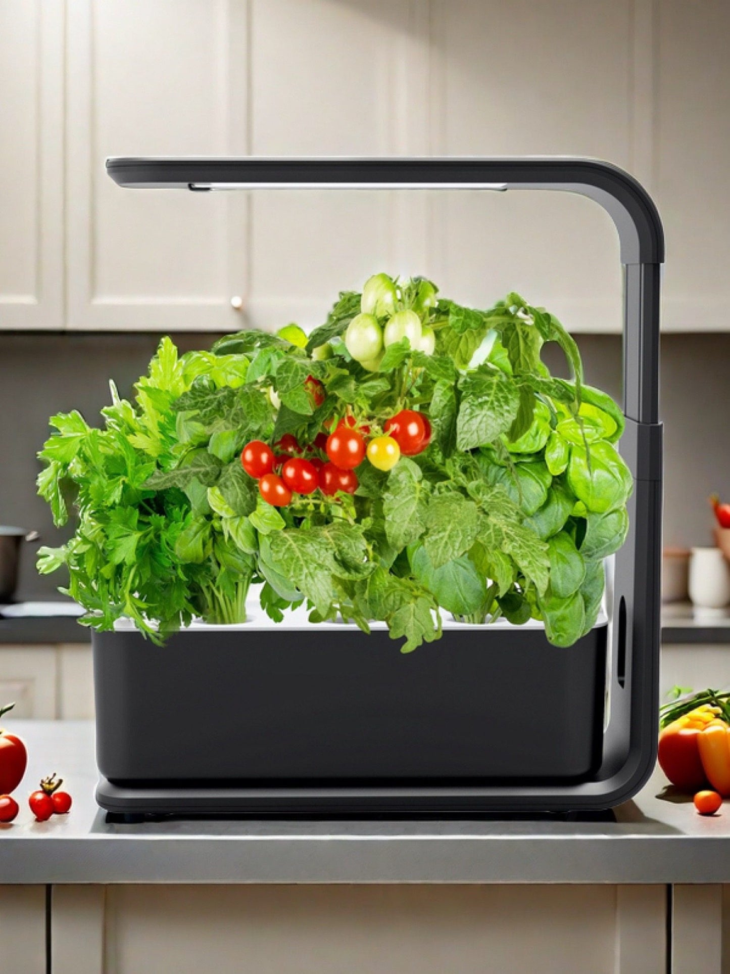 Hydroponic Vegetable Growing Machine