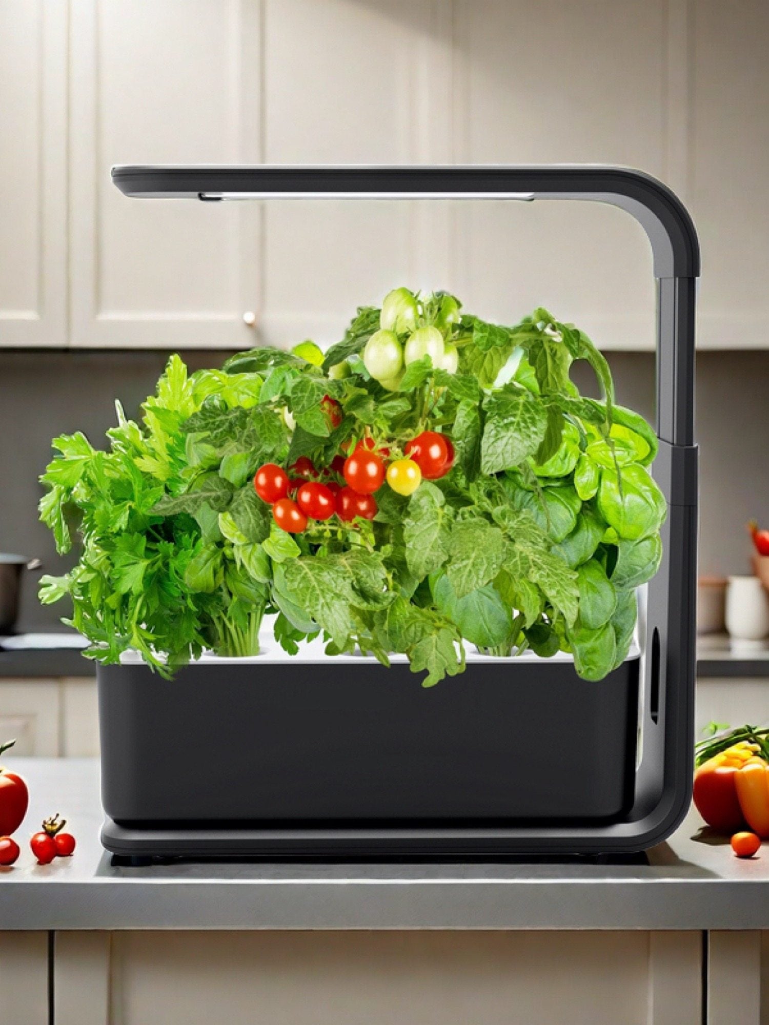 Hydroponic Vegetable Growing Machine