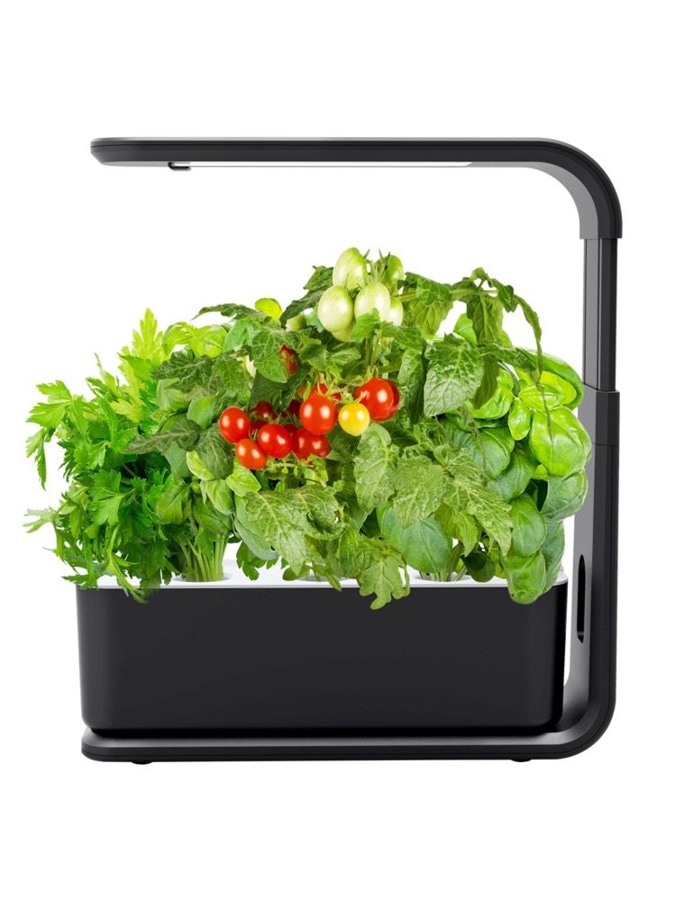 Hydroponic Vegetable Growing Machine