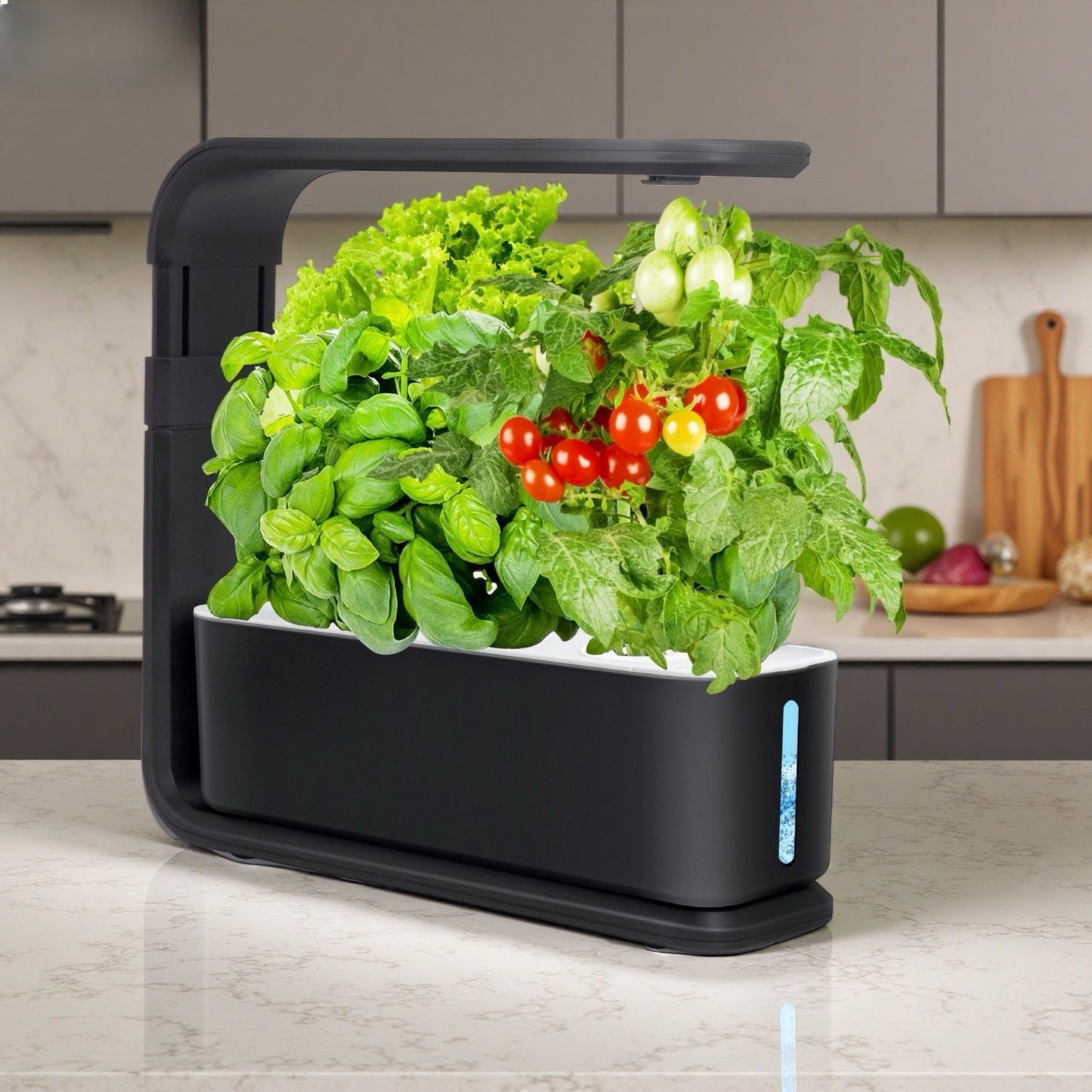 Hydroponic Vegetable Growing Machine