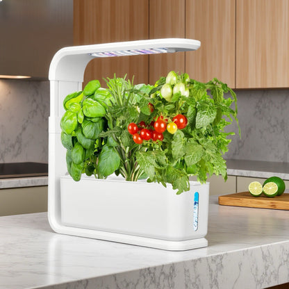 Hydroponic Vegetable Growing Machine