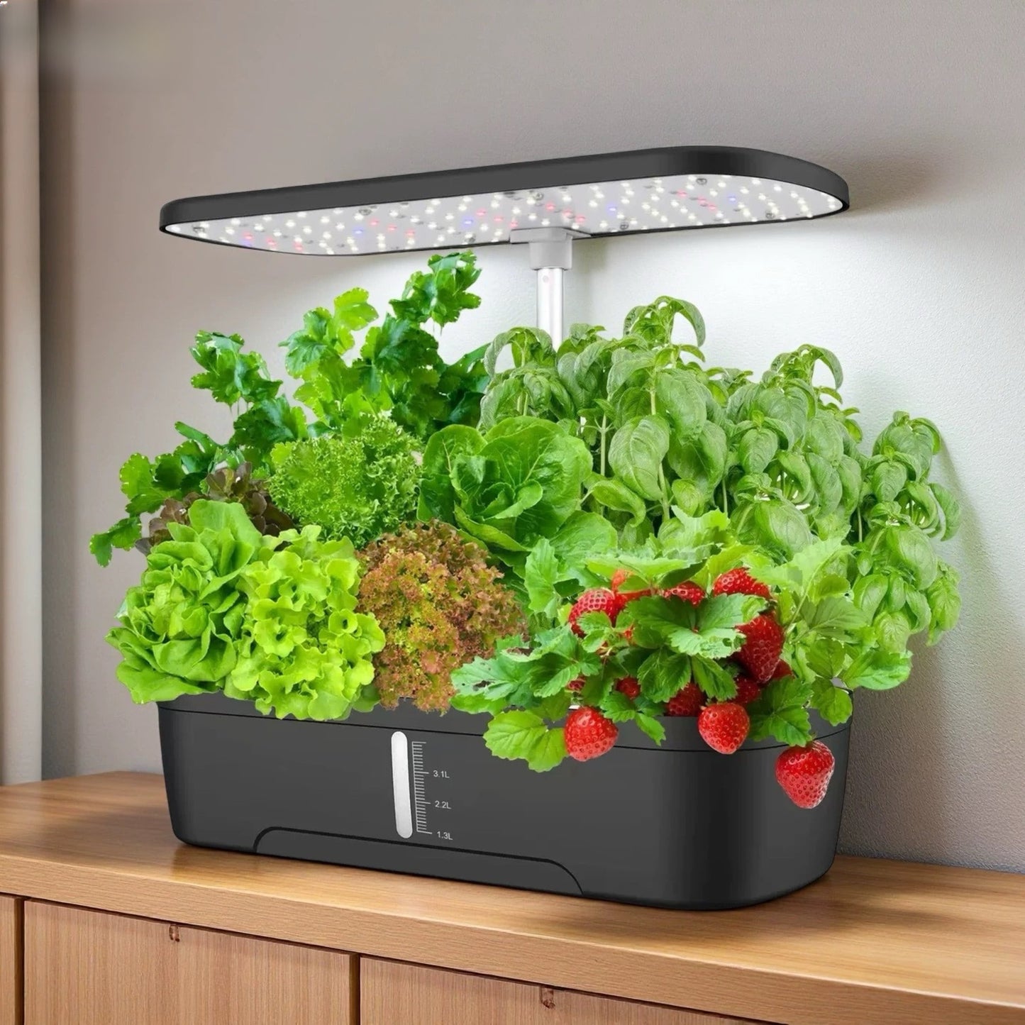 Hydroponic Vegetable Growing Machine
