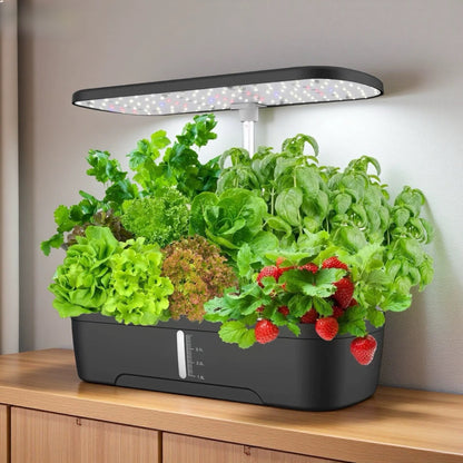 Hydroponic Vegetable Growing Machine