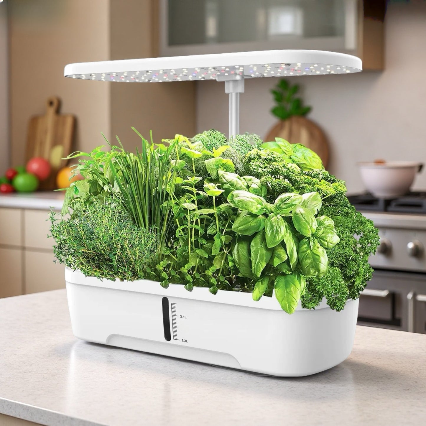 Hydroponic Vegetable Growing Machine