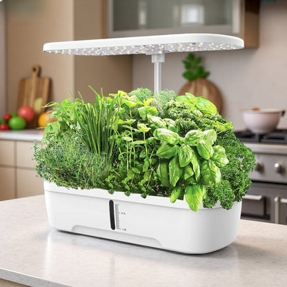 Hydroponic Vegetable Growing Machine