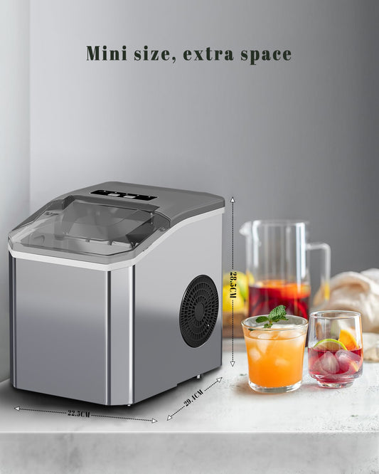 Ice maker