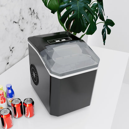Ice maker