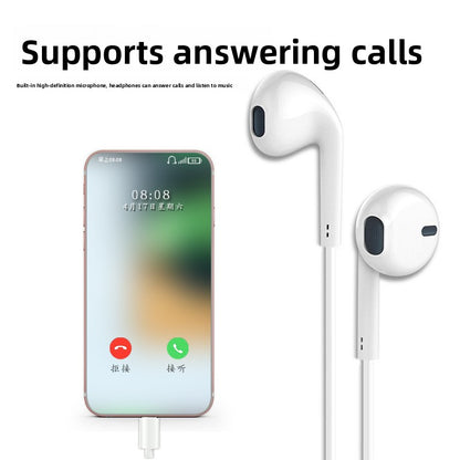 In-Ear Wired Headphones with Microphone and Type-C Support
