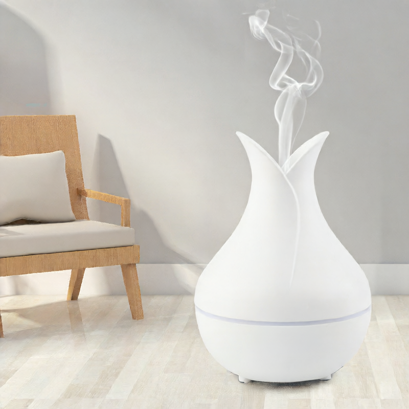 Incense Purification Diffuser