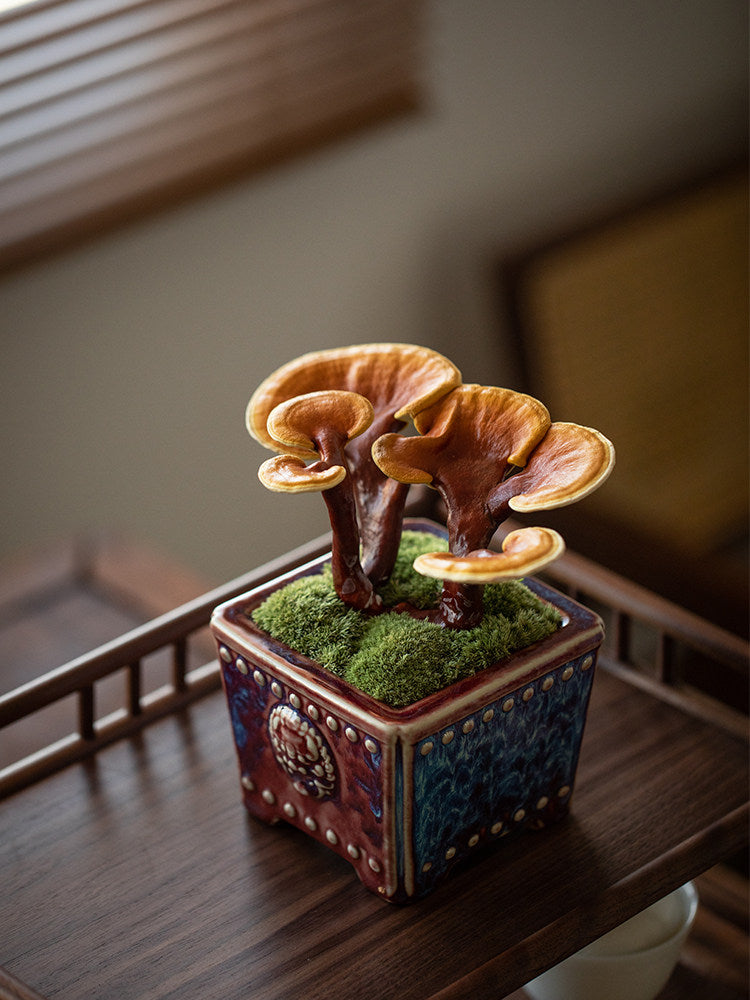 Indoor Desktop Ganoderma Potted Foliage Plant