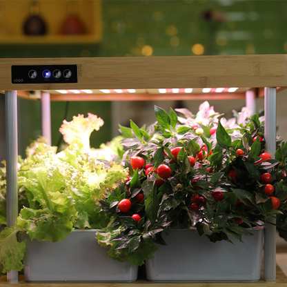 Indoor Hydroponic Plant Growing Lamp with Touch Control