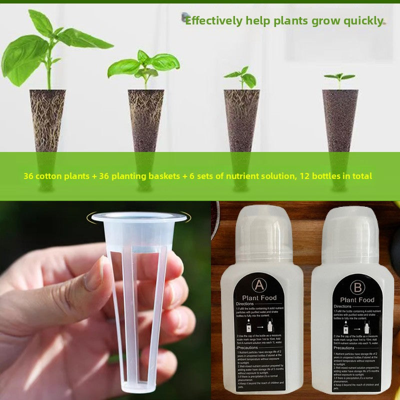 Indoor Hydroponic Plant Growing Machine