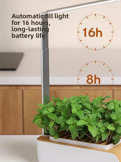 Indoor Hydroponic Plant Growing Machine