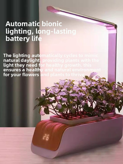 Indoor Hydroponic Plant Growing Machine