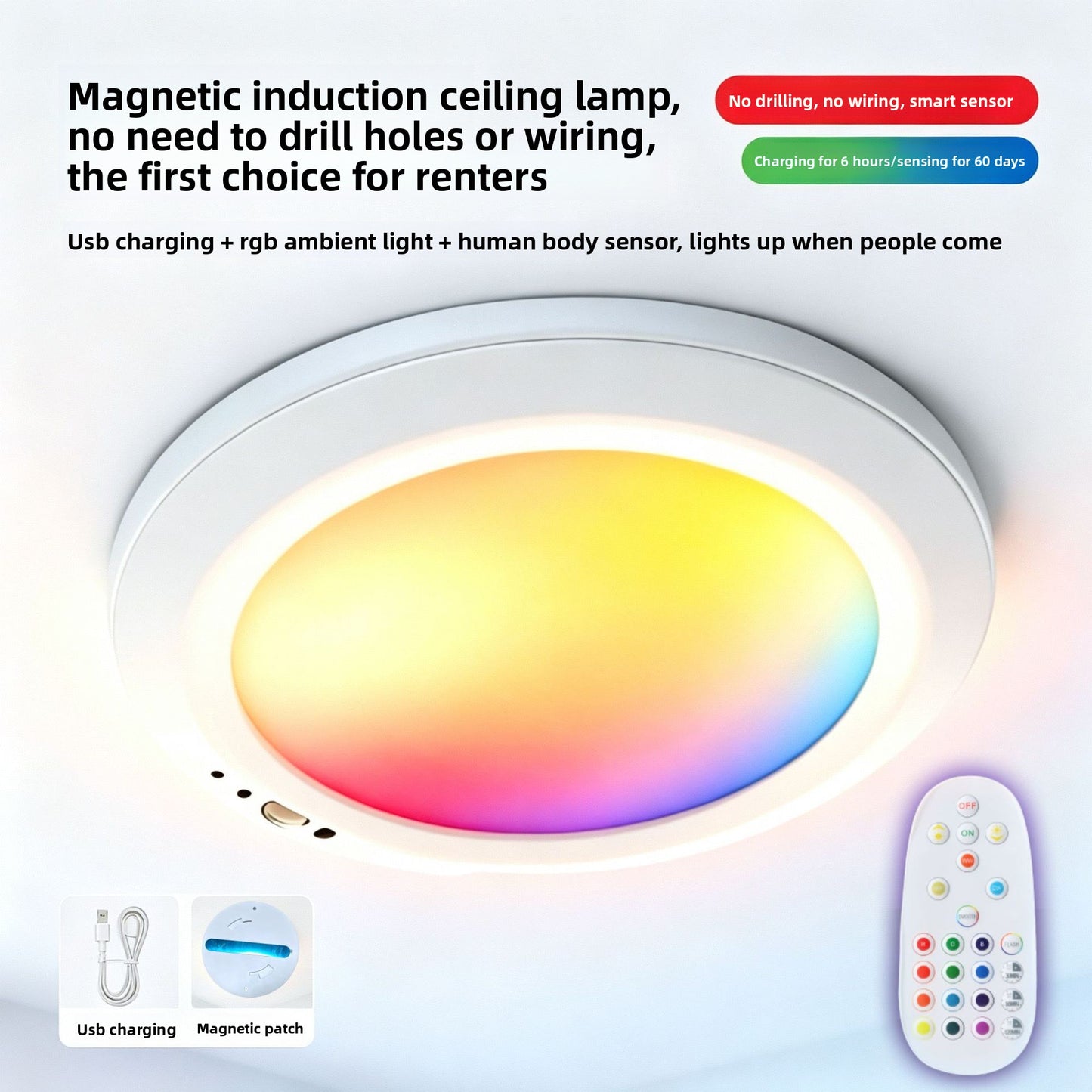 Induction Ceiling Light