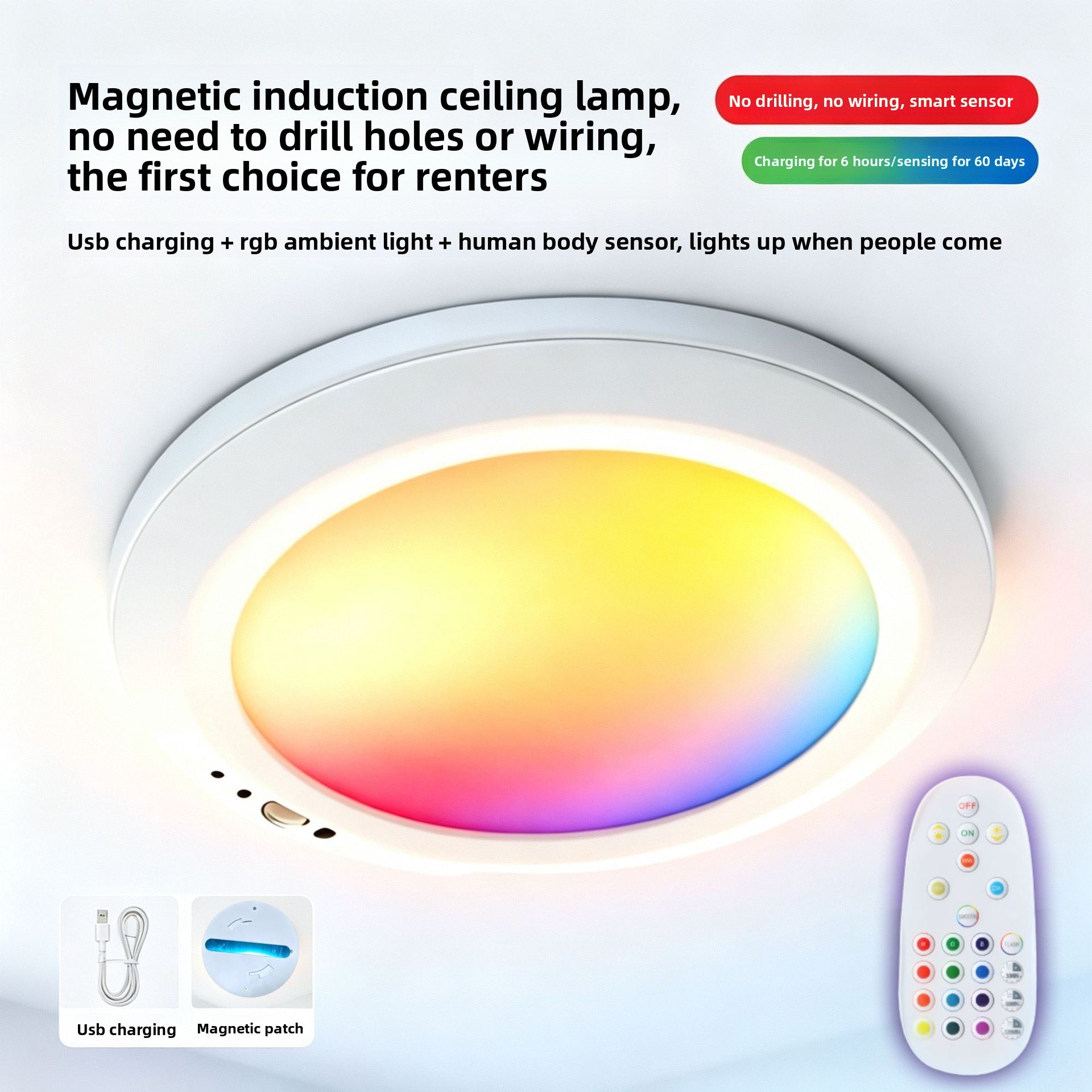 Induction Ceiling Light