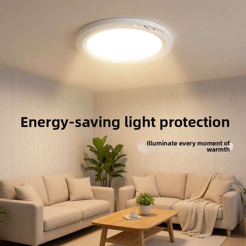Induction Ceiling Light