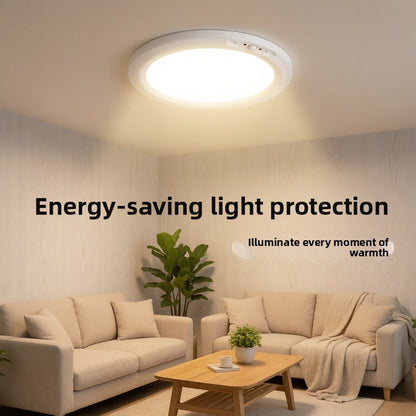 Induction Ceiling Light