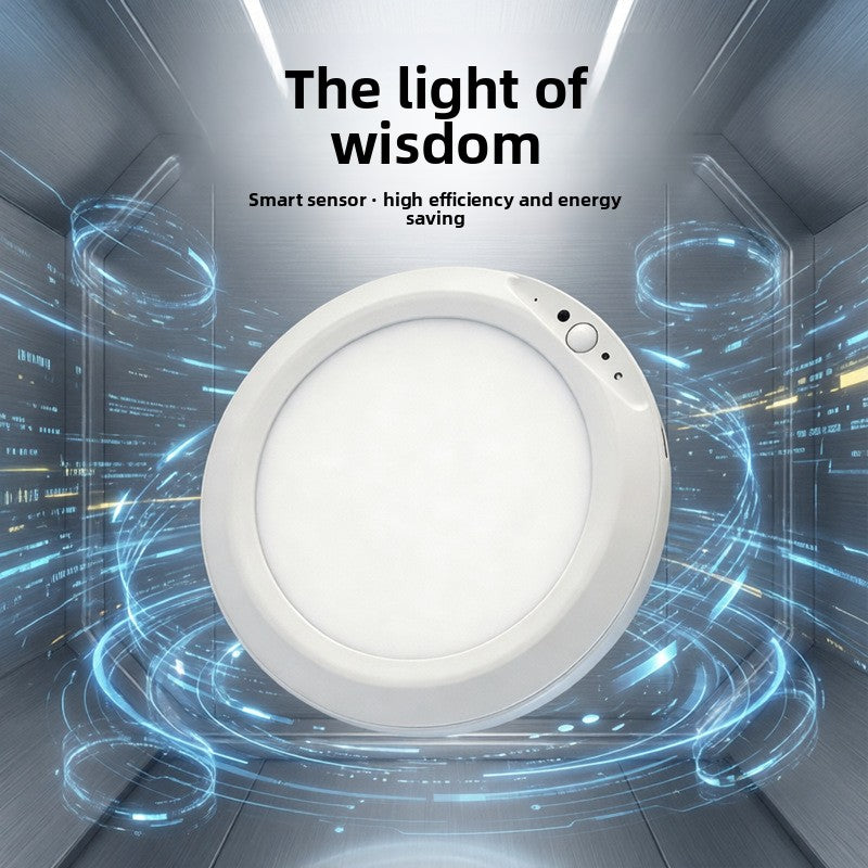 Induction Ceiling Light
