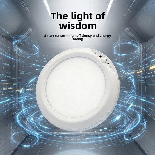 Induction Ceiling Light
