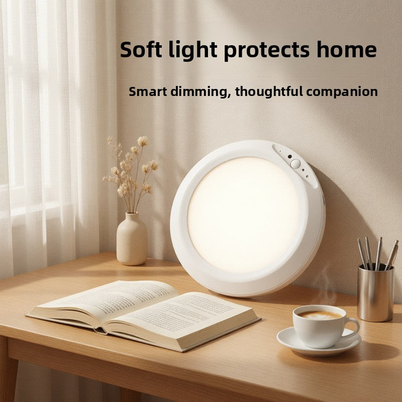 Induction Ceiling Light