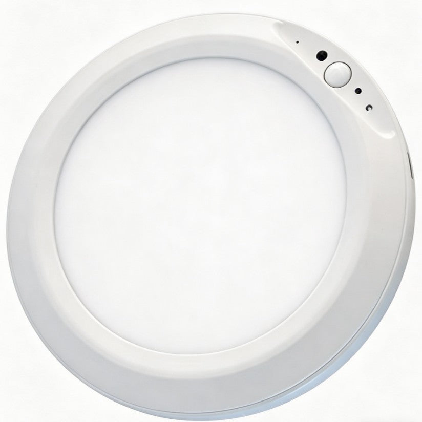 Induction Ceiling Light