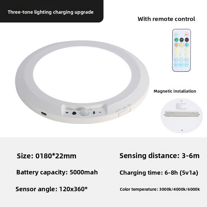Induction Ceiling Light