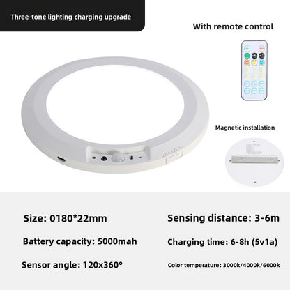 Induction Ceiling Light