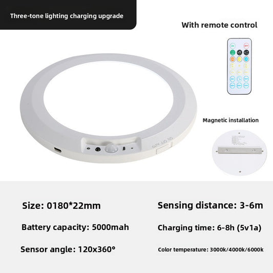 Induction Ceiling Light