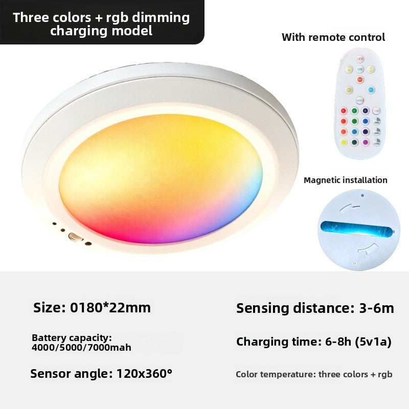 Induction Ceiling Light