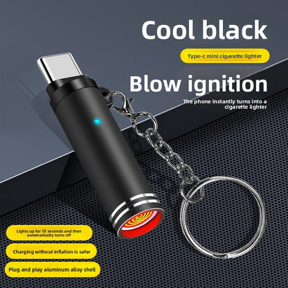 Induction igniter