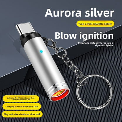 Induction igniter
