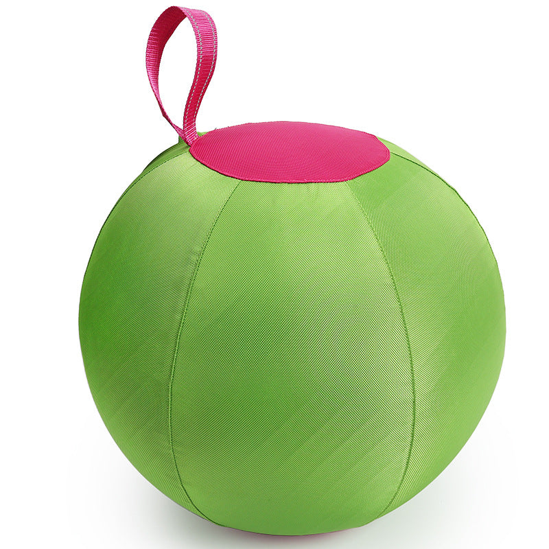 Inflatable Chew Resistant Dog Ball for Training