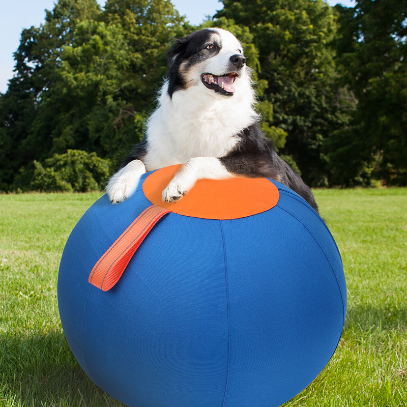 Inflatable Chew Resistant Dog Ball for Training