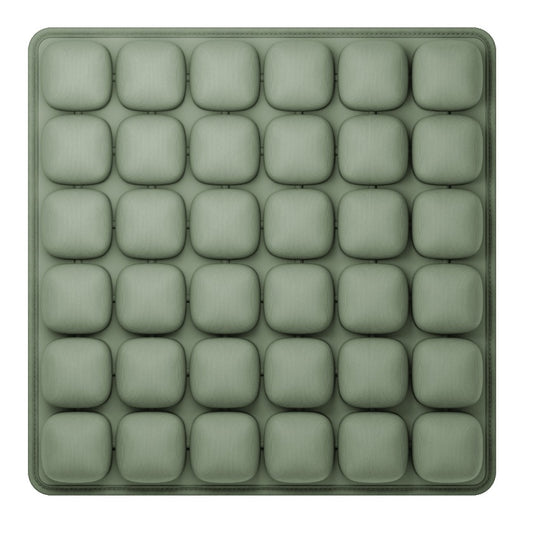 inflatable cushion