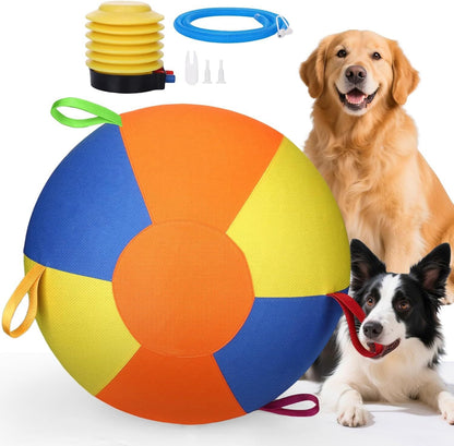 Inflatable Pet Training Ball