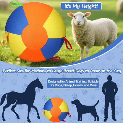 Inflatable Pet Training Ball