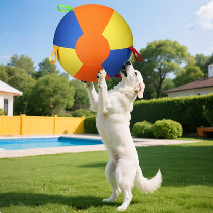 Inflatable Pet Training Ball