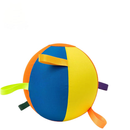 Inflatable Pet Training Ball