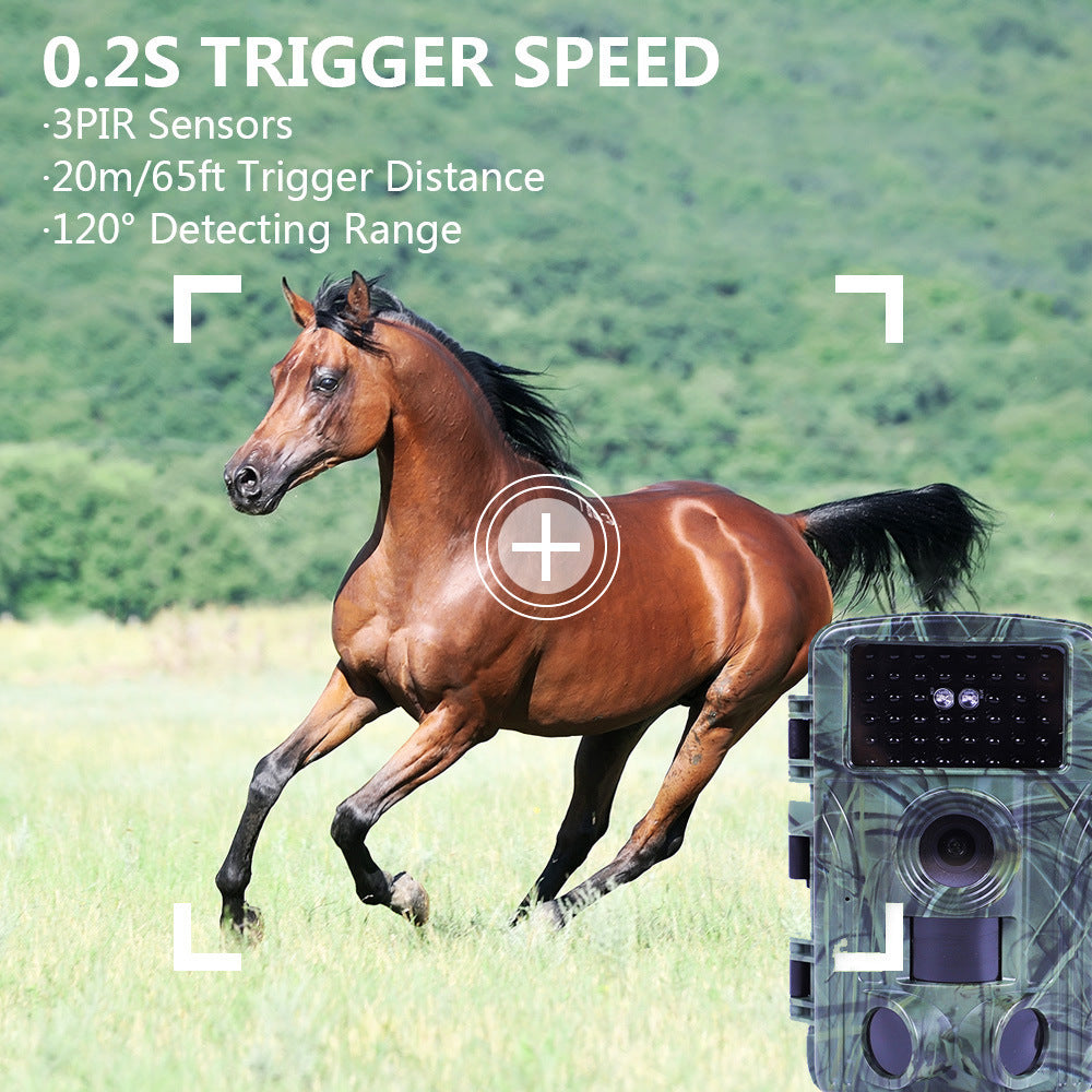 Infrared waterproof camera