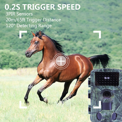 Infrared waterproof camera