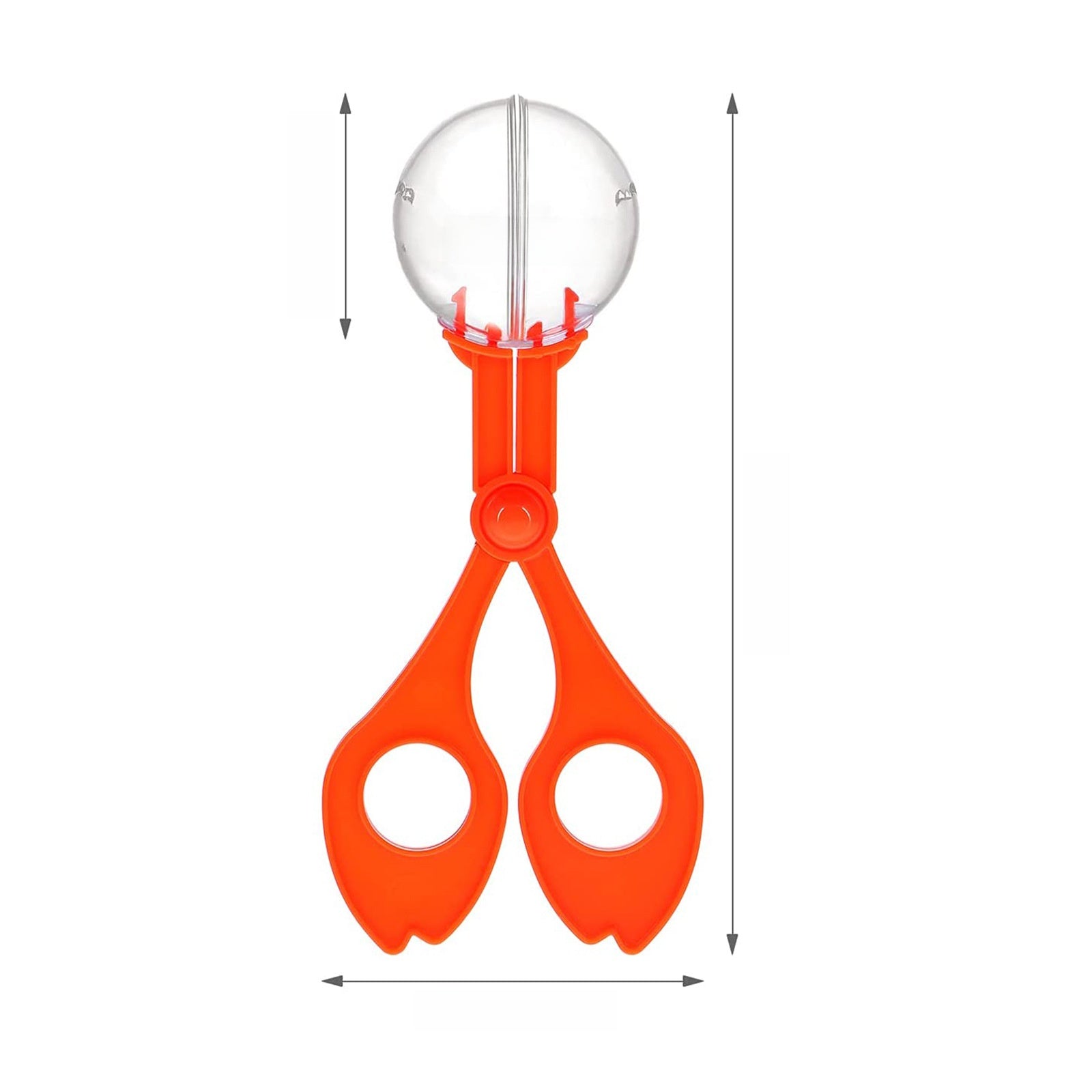 insect catching tool